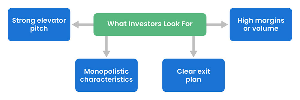 Types of Companies Investors Look For
