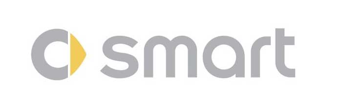 smart automobile maker joint venture example